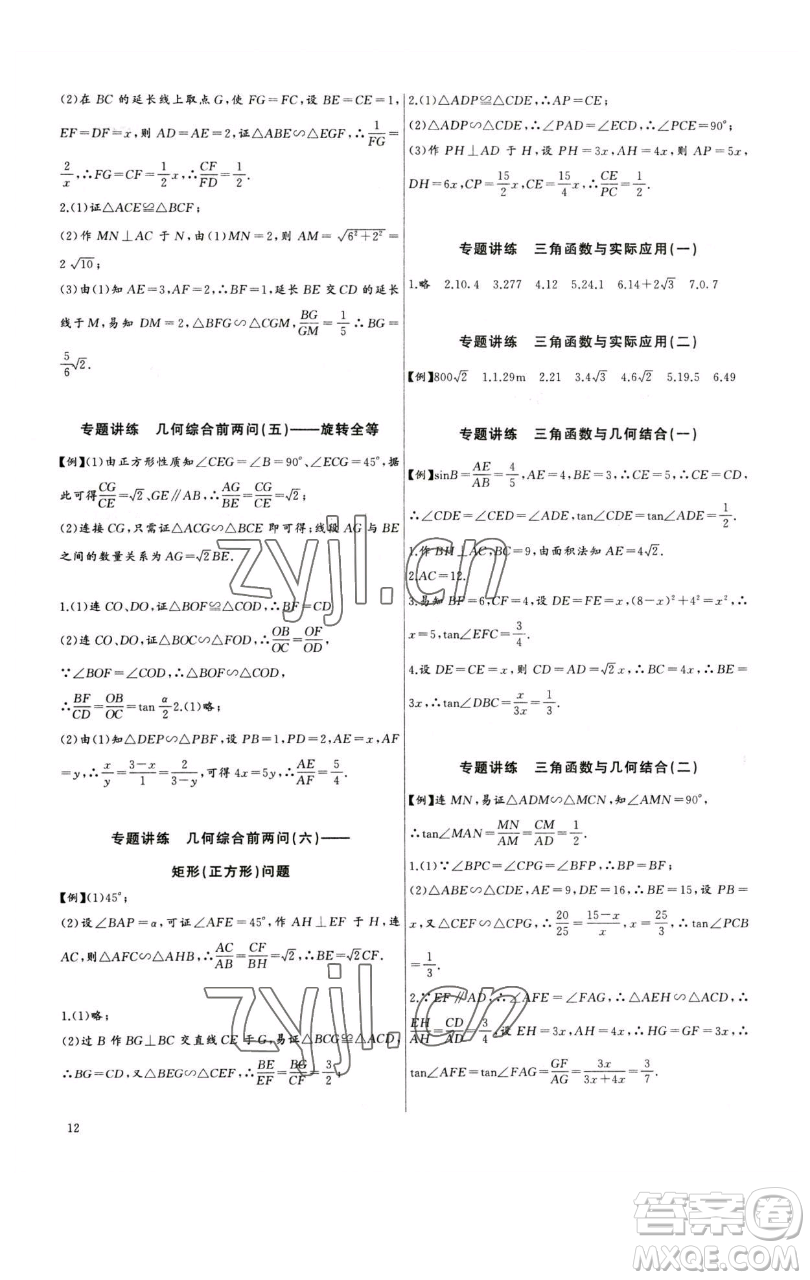 長(zhǎng)江少年兒童出版社2023思維新觀察中考數(shù)學(xué)專題復(fù)習(xí)參考答案