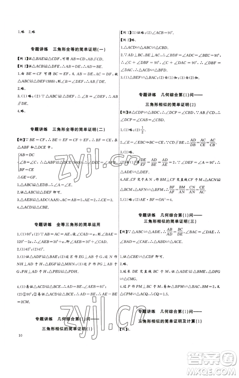 長(zhǎng)江少年兒童出版社2023思維新觀察中考數(shù)學(xué)專題復(fù)習(xí)參考答案