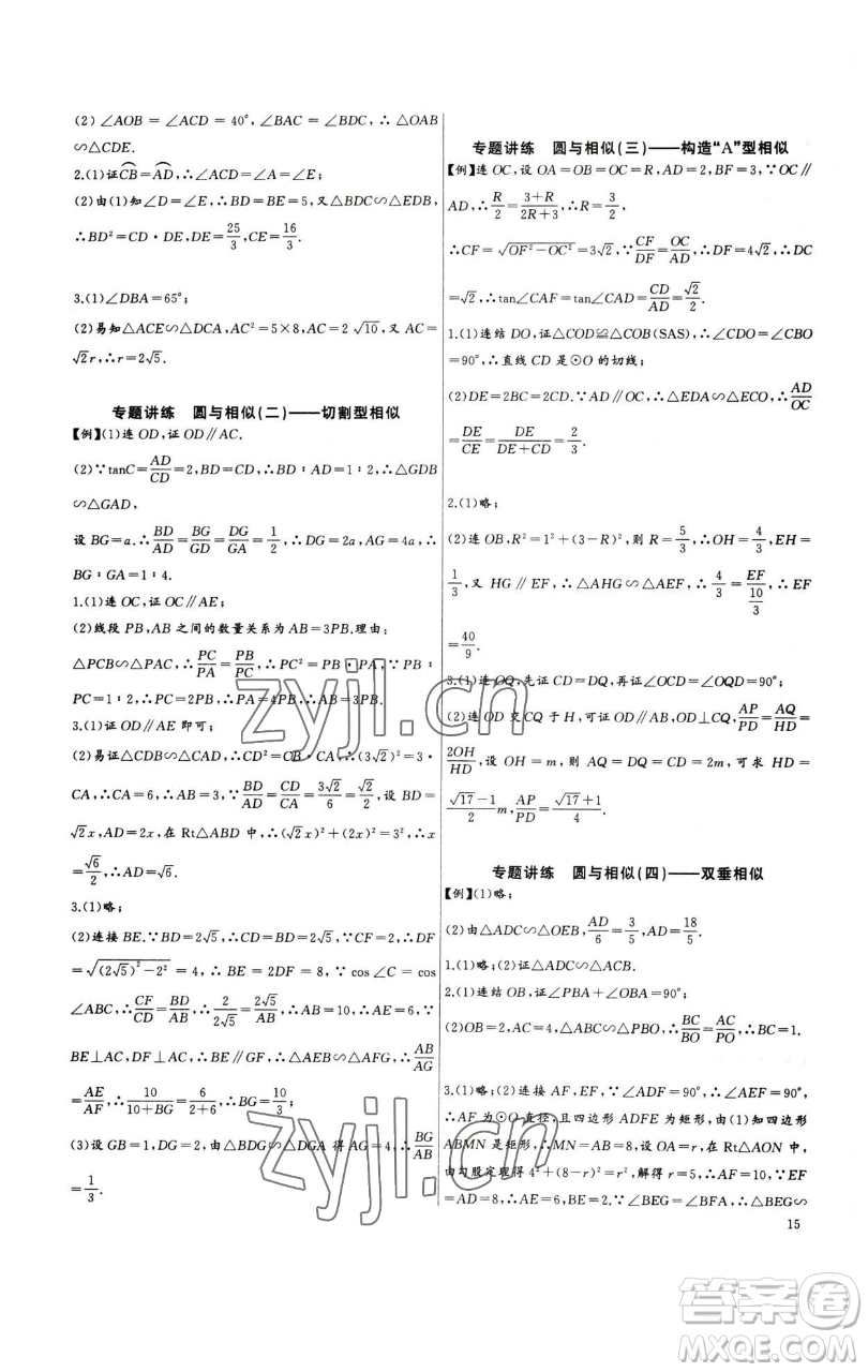 長(zhǎng)江少年兒童出版社2023思維新觀察中考數(shù)學(xué)專題復(fù)習(xí)參考答案