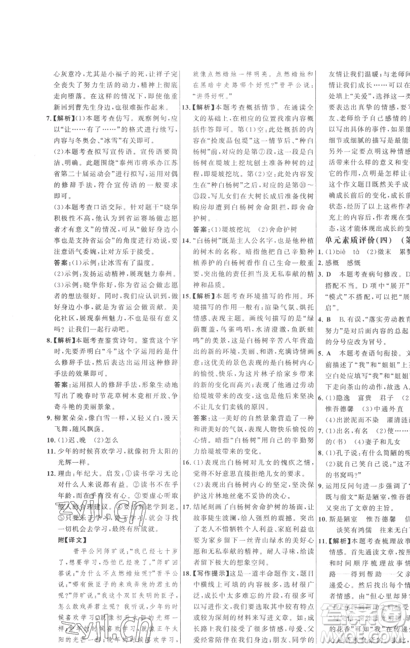 延邊大學(xué)出版社2023世紀金榜百練百勝七年級下冊語文人教版參考答案