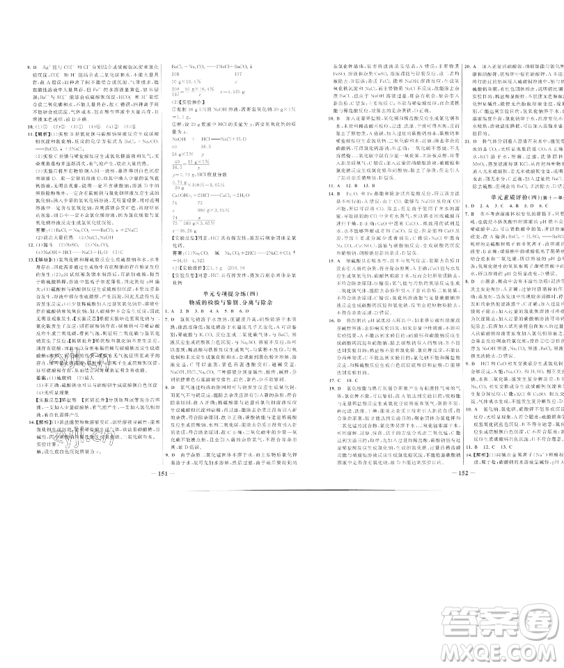 延邊大學(xué)出版社2023世紀(jì)金榜百練百勝九年級(jí)下冊(cè)化學(xué)人教版參考答案