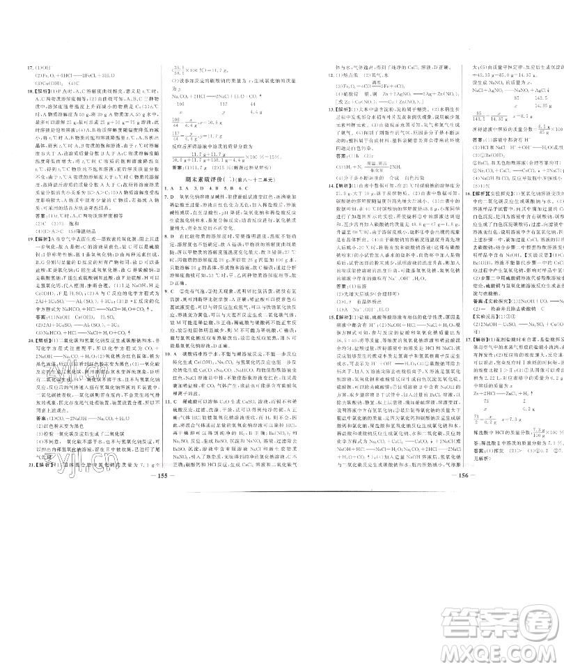 延邊大學(xué)出版社2023世紀(jì)金榜百練百勝九年級(jí)下冊(cè)化學(xué)人教版參考答案