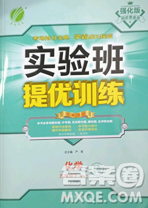 江蘇人民出版社2023實驗班提優(yōu)訓練九年級下冊化學滬教版上海專版參考答案