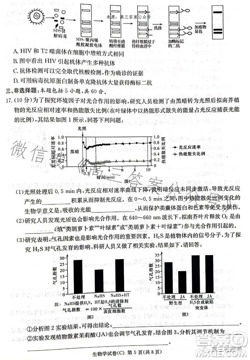 2023屆湖南新高考教學(xué)教研聯(lián)盟高三第一次聯(lián)考生物學(xué)試卷答案