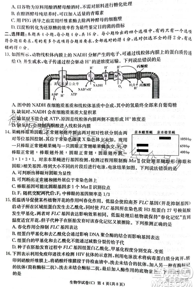 2023屆湖南新高考教學(xué)教研聯(lián)盟高三第一次聯(lián)考生物學(xué)試卷答案