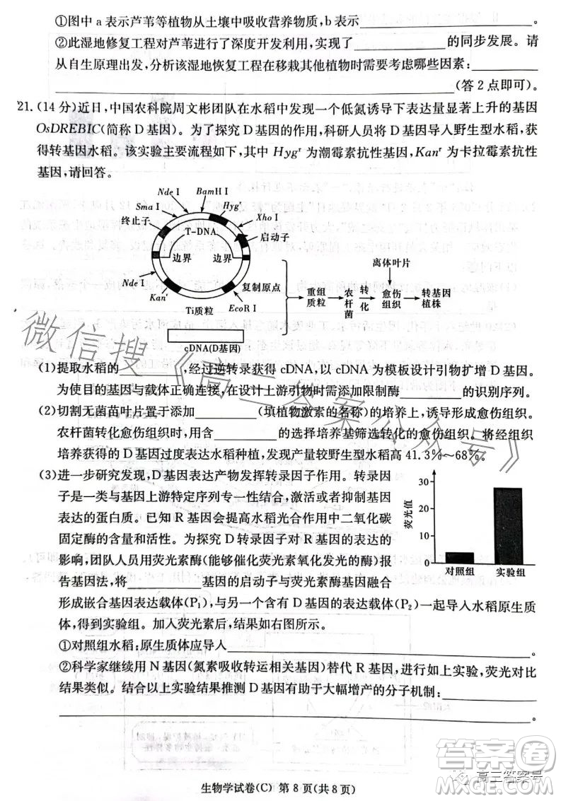 2023屆湖南新高考教學(xué)教研聯(lián)盟高三第一次聯(lián)考生物學(xué)試卷答案