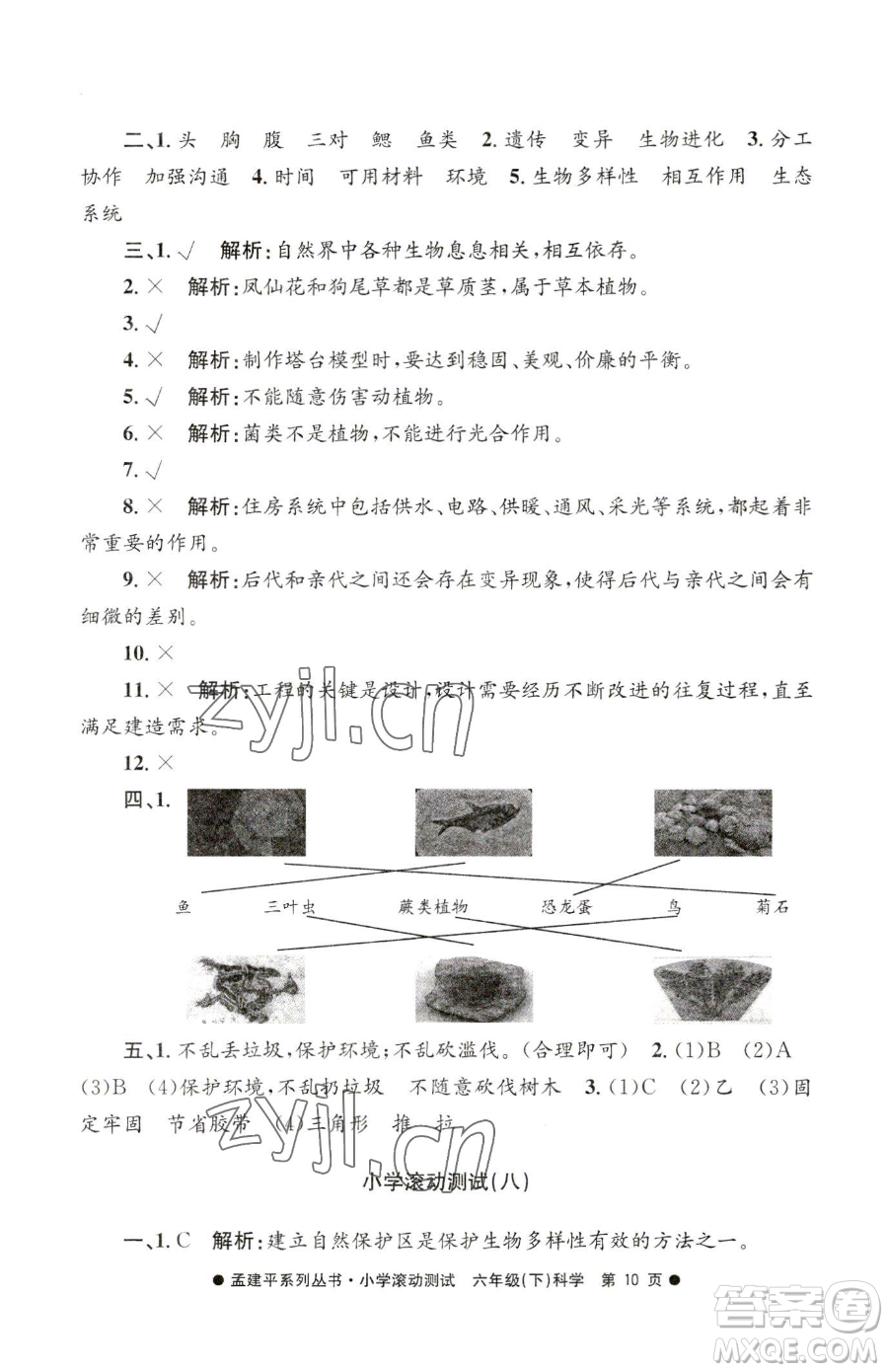 浙江工商大學(xué)出版社2023孟建平小學(xué)滾動(dòng)測試六年級(jí)下冊科學(xué)教科版參考答案