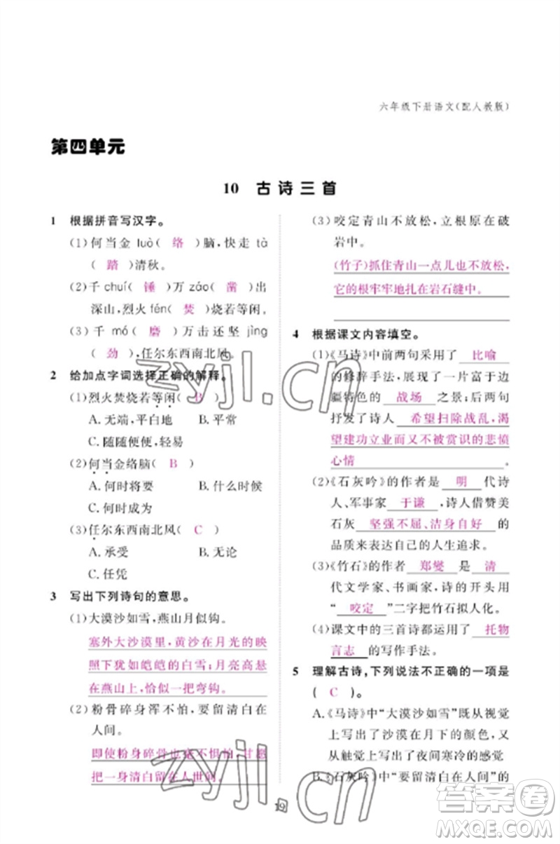 江西教育出版社2023年芝麻開花課堂作業(yè)本六年級語文下冊人教版參考答案