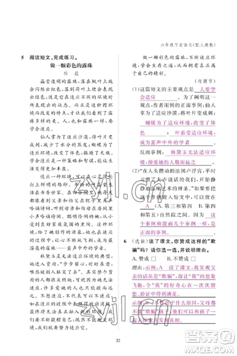 江西教育出版社2023年芝麻開花課堂作業(yè)本六年級語文下冊人教版參考答案