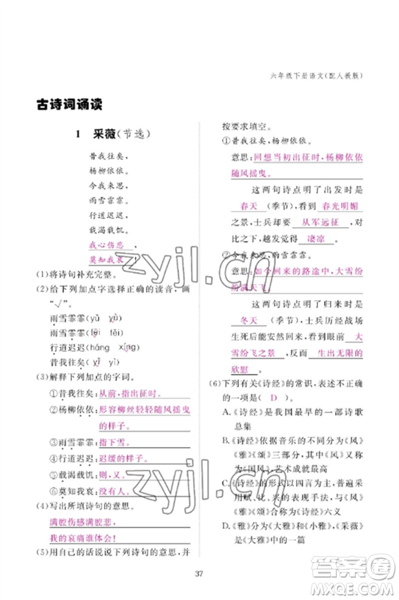 江西教育出版社2023年芝麻開花課堂作業(yè)本六年級語文下冊人教版參考答案