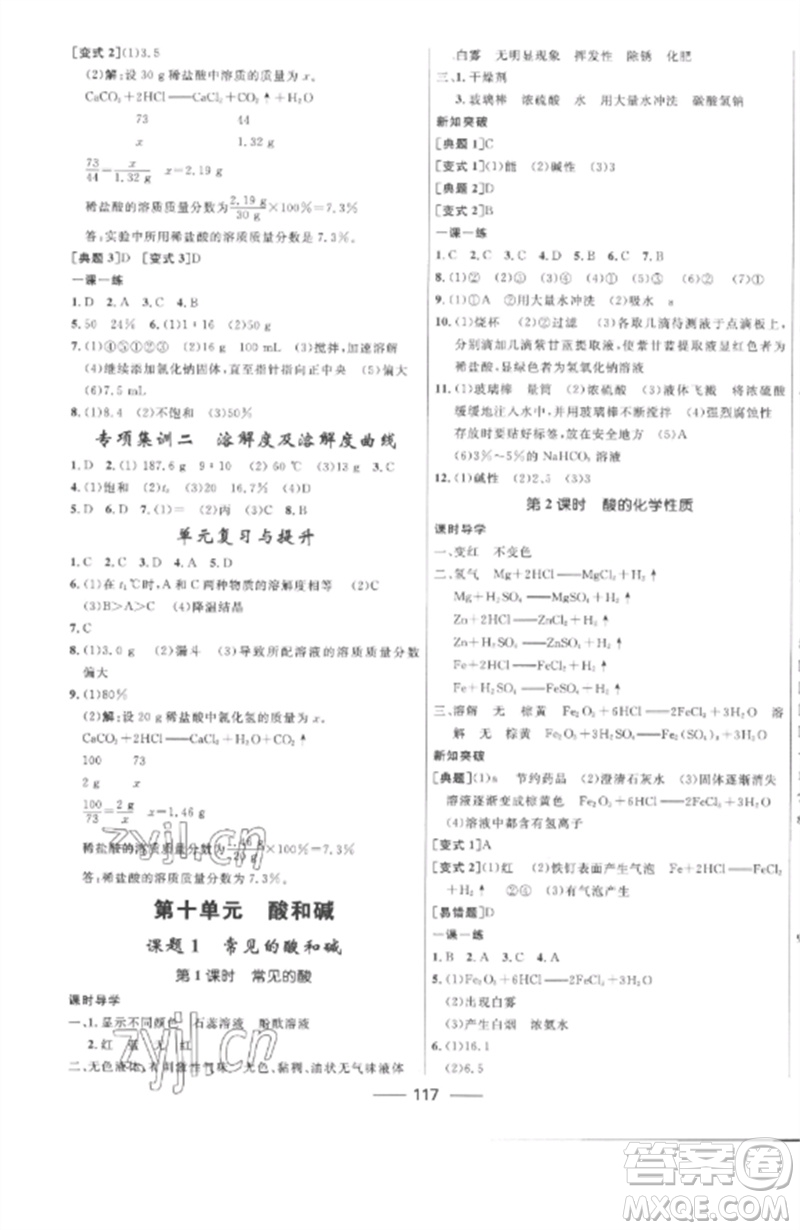 河北少年兒童出版社2023奪冠百分百新導(dǎo)學(xué)課時練九年級化學(xué)下冊人教版參考答案