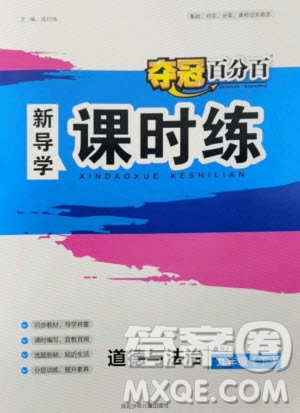 河北少年兒童出版社2023奪冠百分百新導學課時練九年級道德與法治下冊人教版參考答案