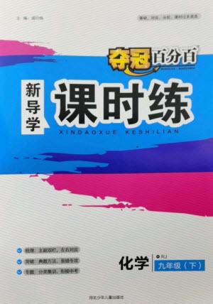 河北少年兒童出版社2023奪冠百分百新導(dǎo)學(xué)課時練九年級化學(xué)下冊人教版參考答案