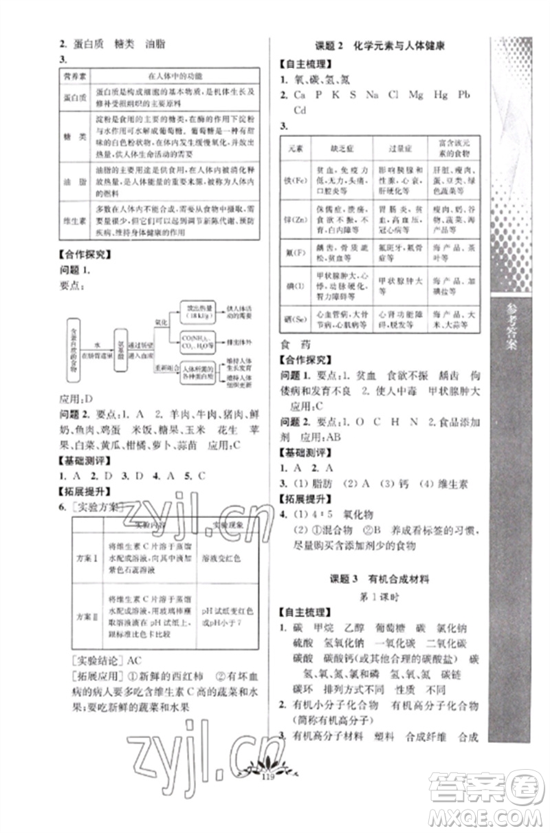 南京師范大學(xué)出版社2023新課程自主學(xué)習(xí)與測(cè)評(píng)九年級(jí)化學(xué)下冊(cè)人教版參考答案