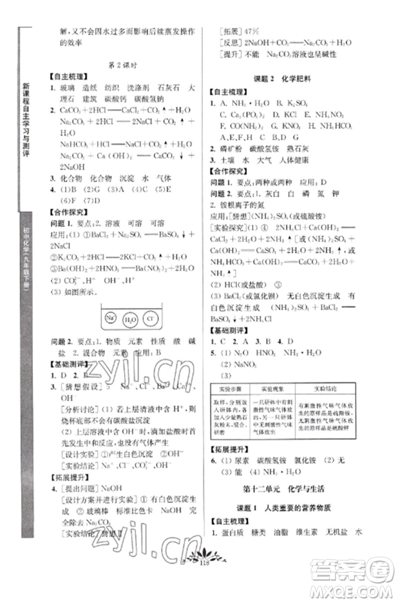 南京師范大學(xué)出版社2023新課程自主學(xué)習(xí)與測(cè)評(píng)九年級(jí)化學(xué)下冊(cè)人教版參考答案