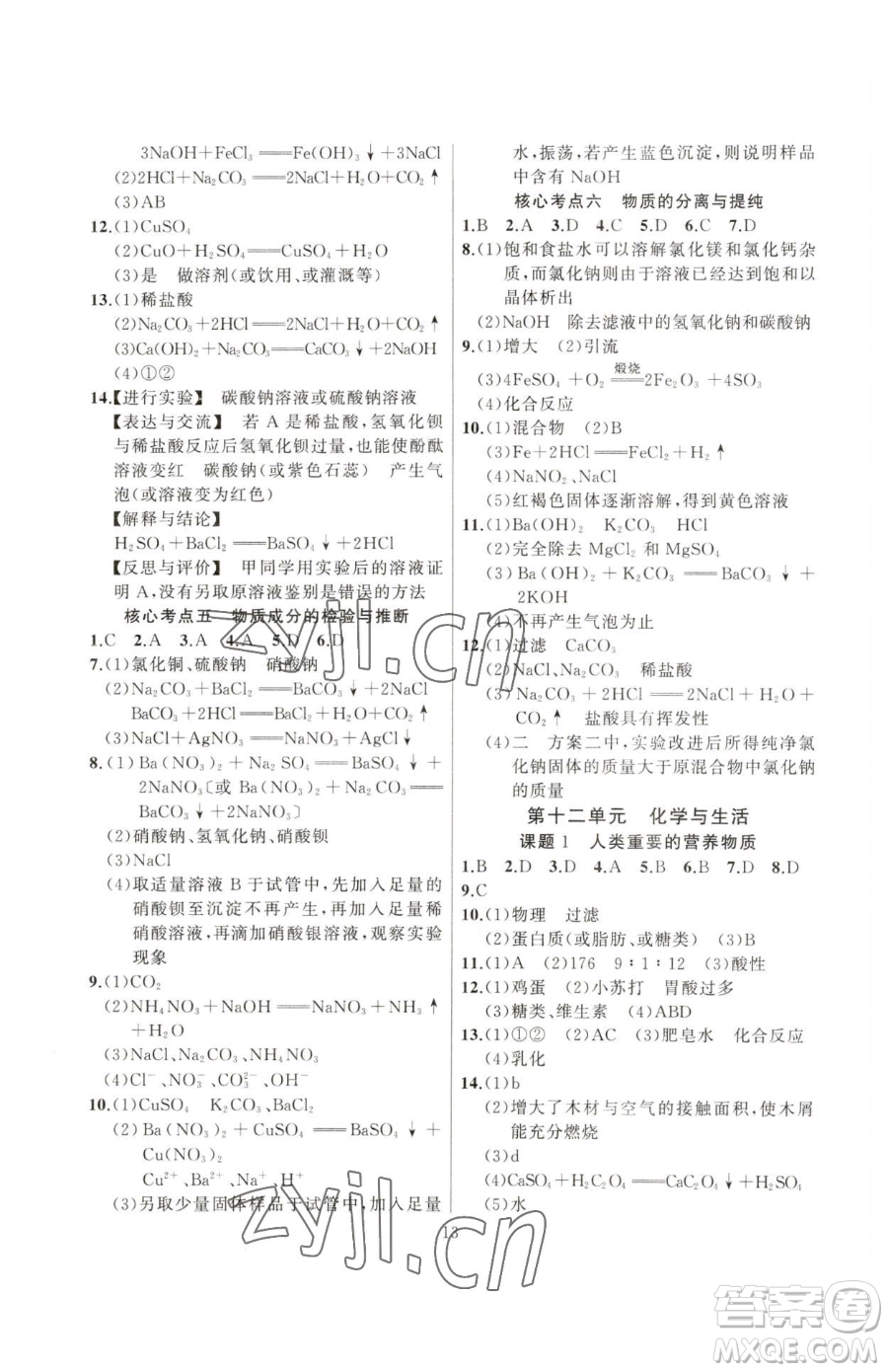 延邊大學(xué)出版社2023高手點(diǎn)題九年級(jí)下冊(cè)化學(xué)人教版參考答案