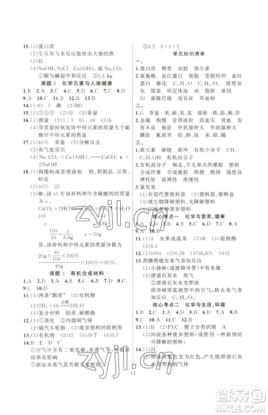 延邊大學(xué)出版社2023高手點(diǎn)題九年級(jí)下冊(cè)化學(xué)人教版參考答案