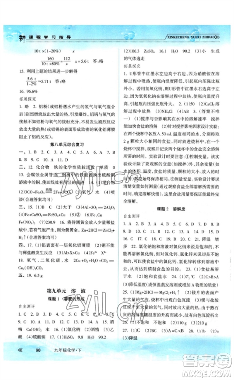 南方出版社2023新課程學(xué)習(xí)指導(dǎo)九年級化學(xué)下冊人教版參考答案