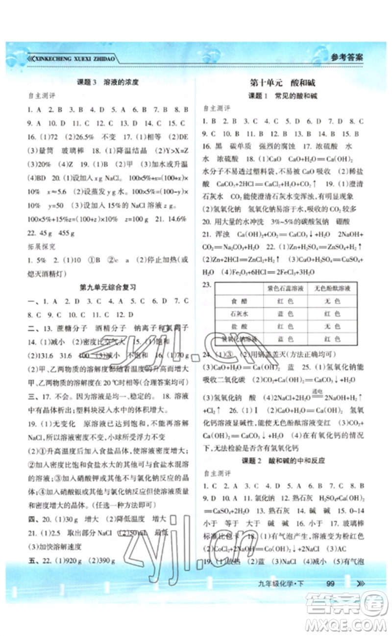 南方出版社2023新課程學(xué)習(xí)指導(dǎo)九年級化學(xué)下冊人教版參考答案