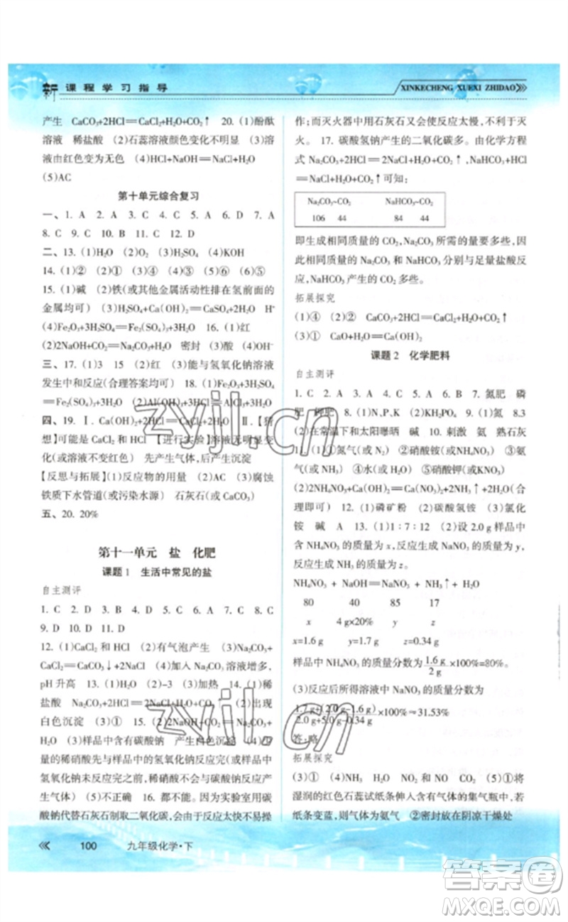 南方出版社2023新課程學(xué)習(xí)指導(dǎo)九年級化學(xué)下冊人教版參考答案