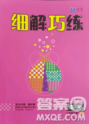 延邊大學(xué)出版社2023細(xì)解巧練六年級下冊語文人教版參考答案