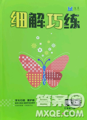 延邊大學(xué)出版社2023細(xì)解巧練六年級下冊英語人教版參考答案