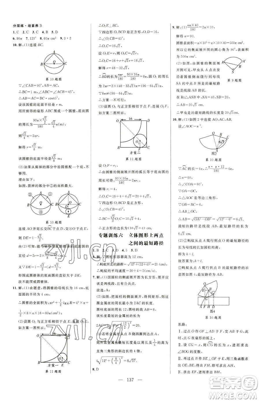 延邊大學(xué)出版社2023細(xì)解巧練九年級(jí)下冊(cè)數(shù)學(xué)青島版參考答案