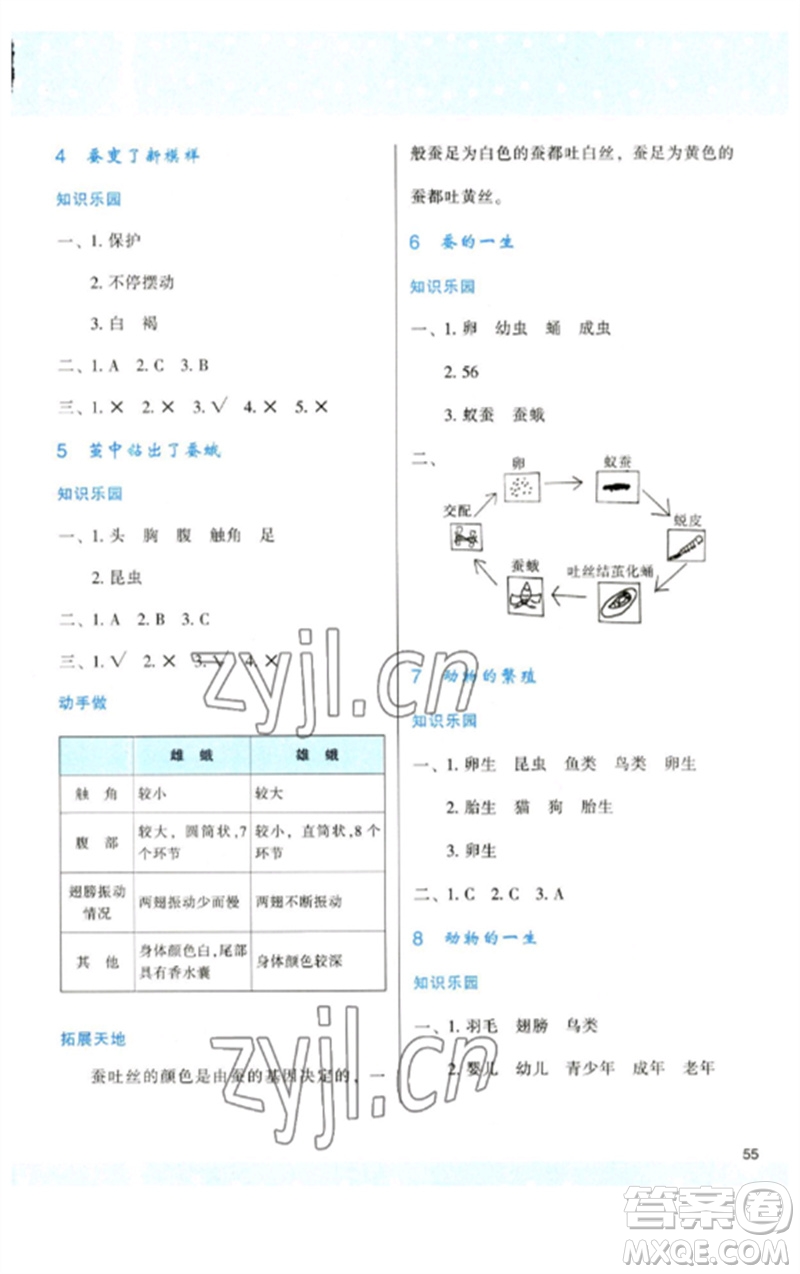 陜西人民教育出版社2023新課程學(xué)習(xí)與評價三年級科學(xué)下冊教科版參考答案