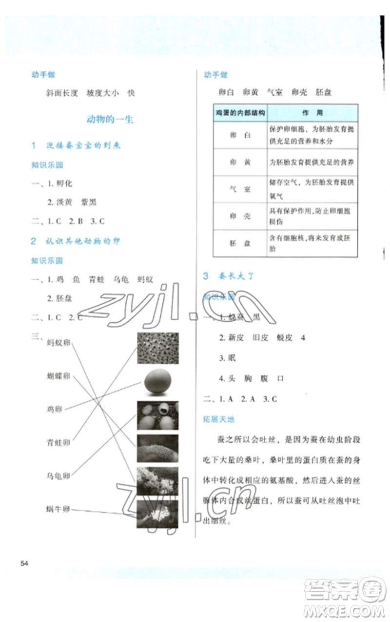 陜西人民教育出版社2023新課程學(xué)習(xí)與評價三年級科學(xué)下冊教科版參考答案