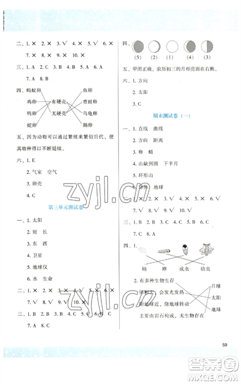 陜西人民教育出版社2023新課程學(xué)習(xí)與評價三年級科學(xué)下冊教科版參考答案