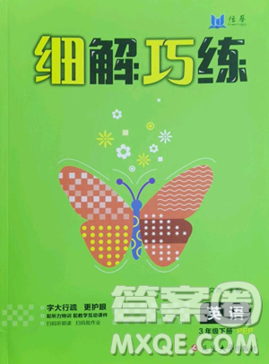 延邊大學(xué)出版社2023細(xì)解巧練三年級(jí)下冊(cè)英語人教版參考答案