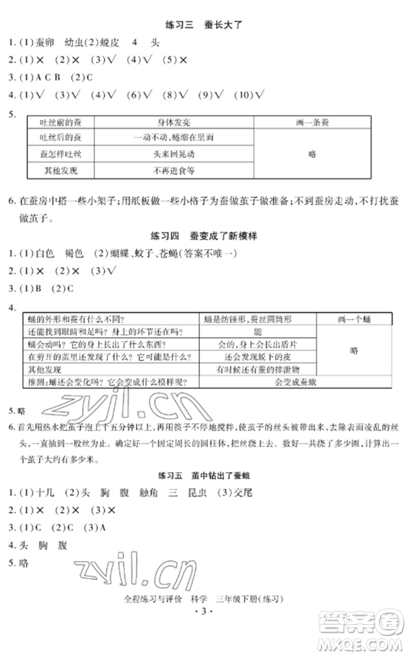 浙江人民出版社2023全程練習與評價三年級科學下冊教科版參考答案