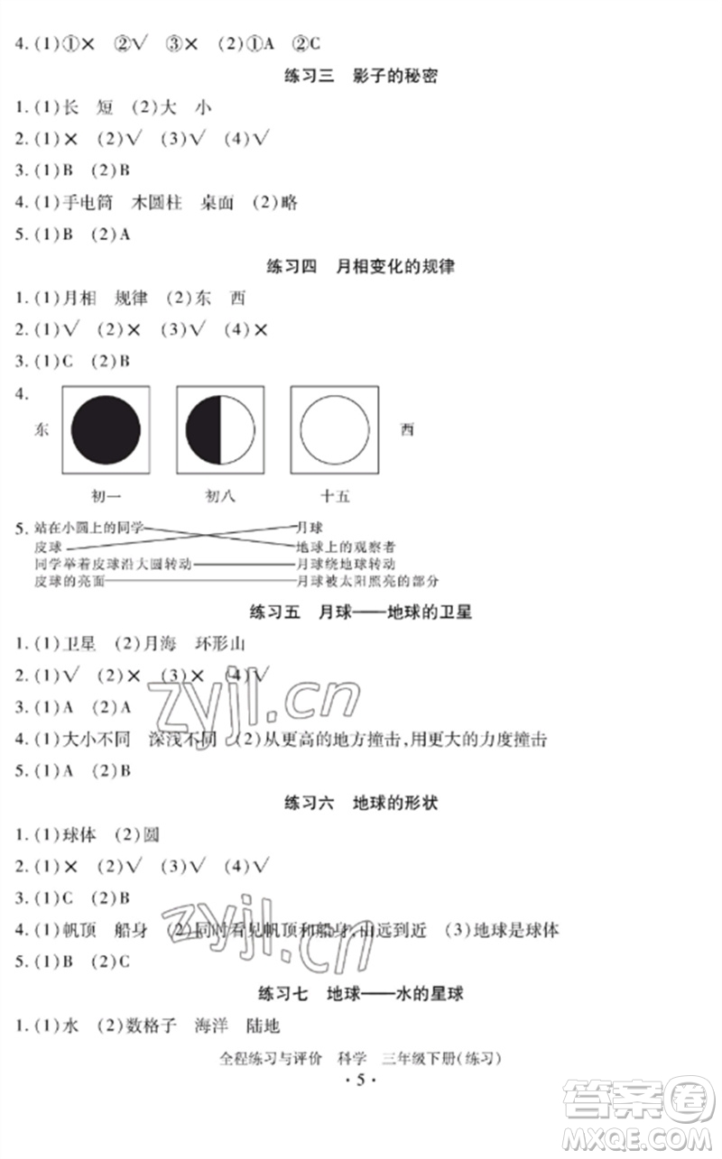 浙江人民出版社2023全程練習與評價三年級科學下冊教科版參考答案