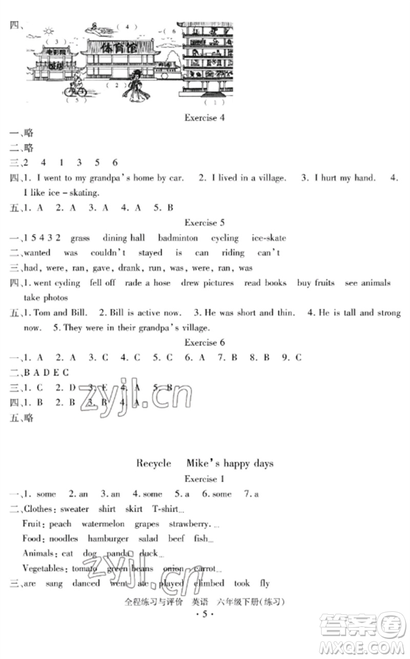 浙江人民出版社2023全程練習(xí)與評價六年級英語下冊人教版參考答案