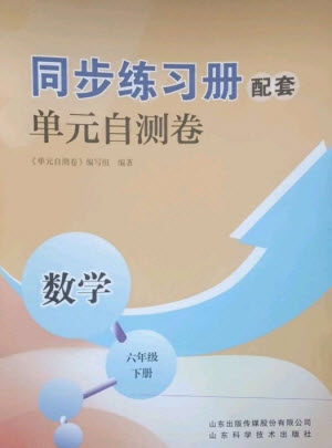 山東科學(xué)技術(shù)出版社2023同步練習(xí)冊配套單元自測卷六年級數(shù)學(xué)下冊人教版參考答案