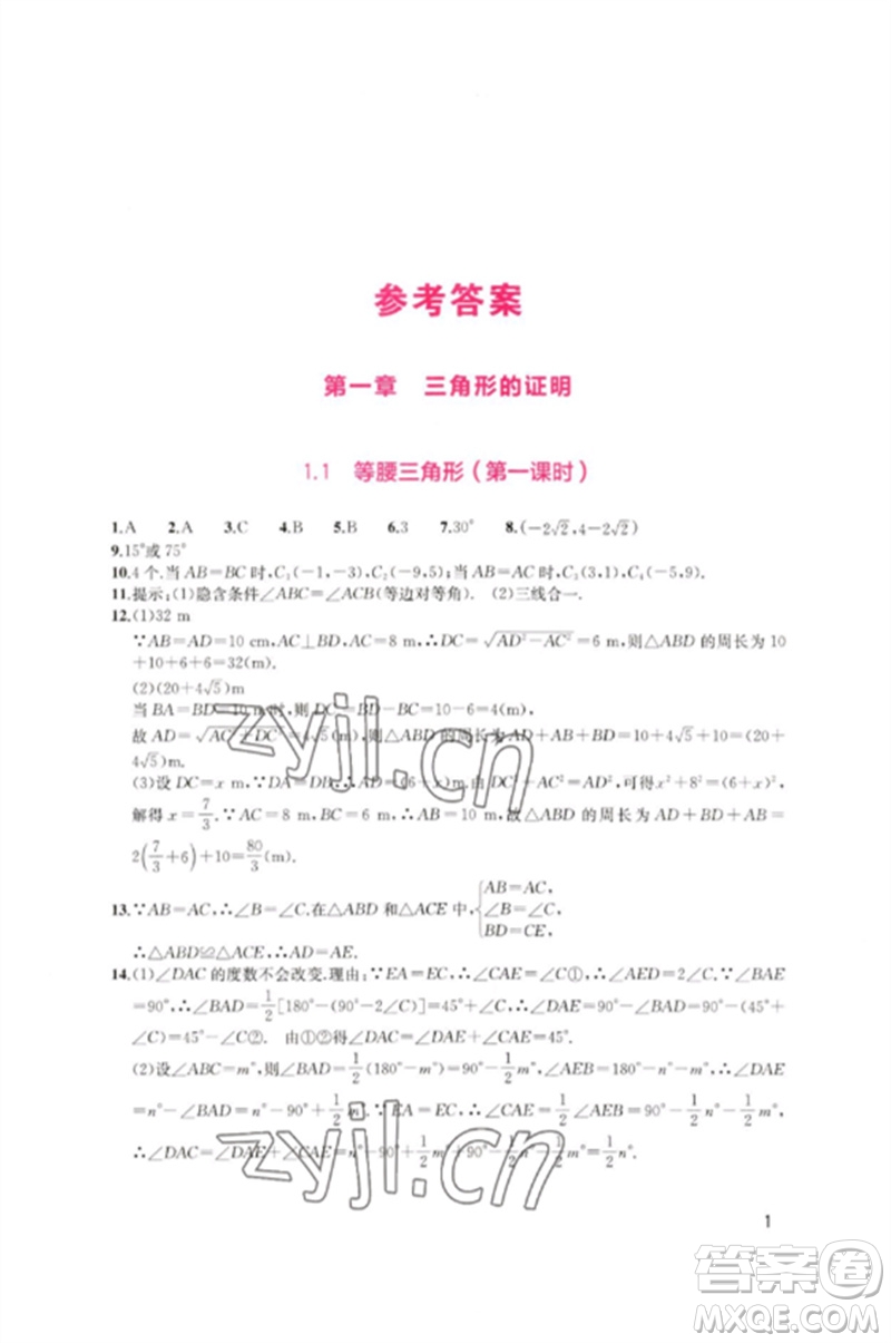 四川教育出版社2023新課程實(shí)踐與探究叢書(shū)八年級(jí)數(shù)學(xué)下冊(cè)北師大版參考答案