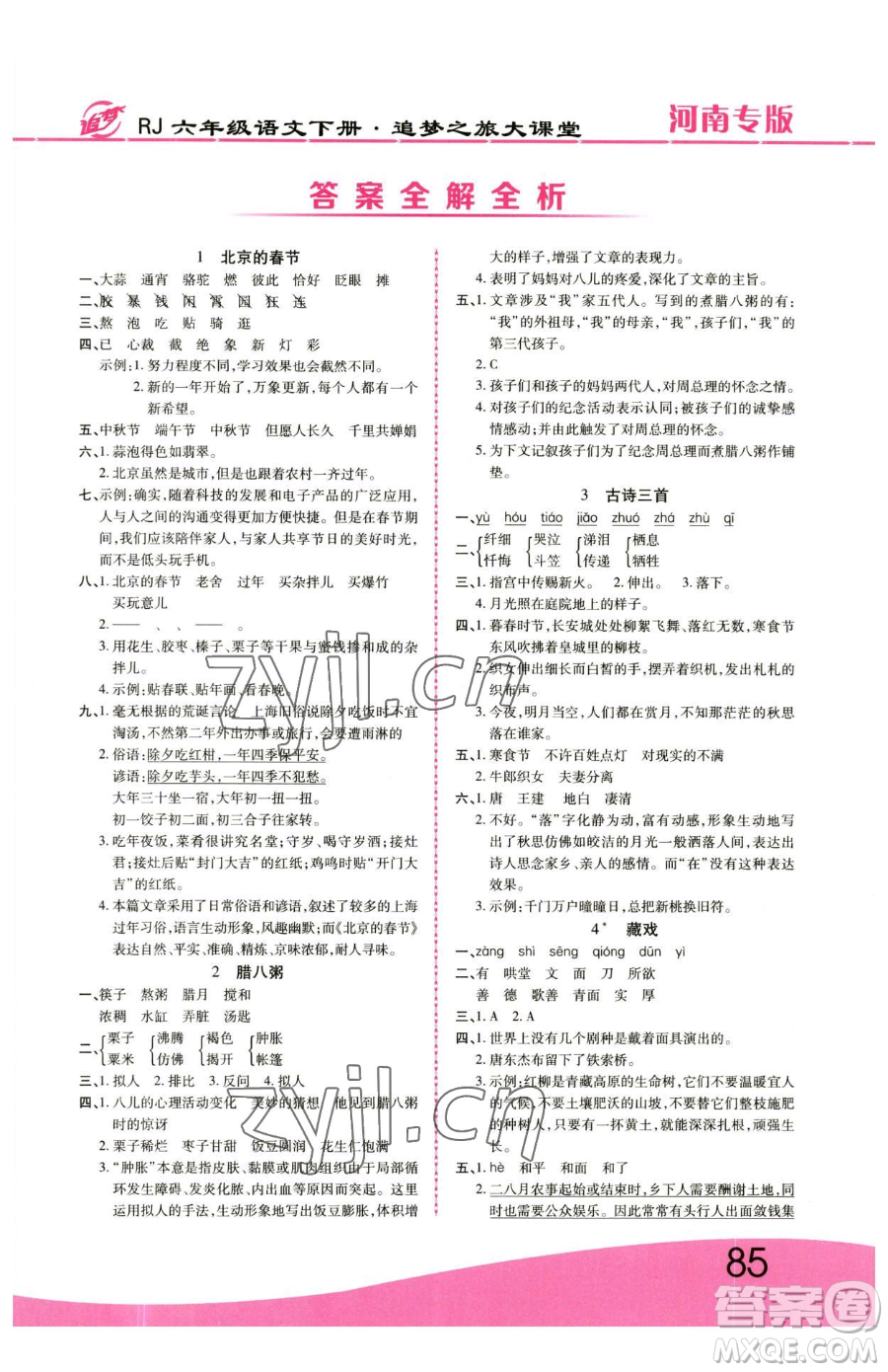 天津科學(xué)技術(shù)出版社2023追夢(mèng)之旅大課堂六年級(jí)下冊(cè)語文人教版河南專版參考答案