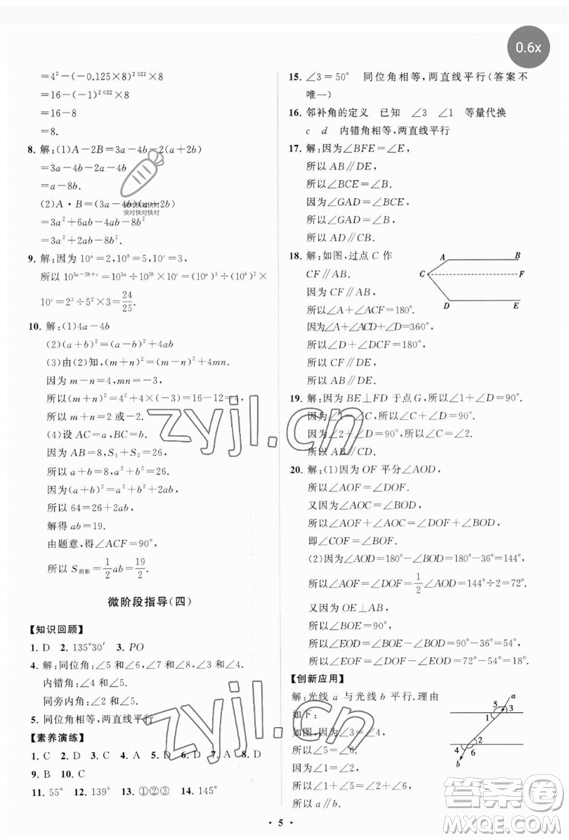 山東教育出版社2023初中同步練習冊分層卷七年級數(shù)學下冊北師大版參考答案