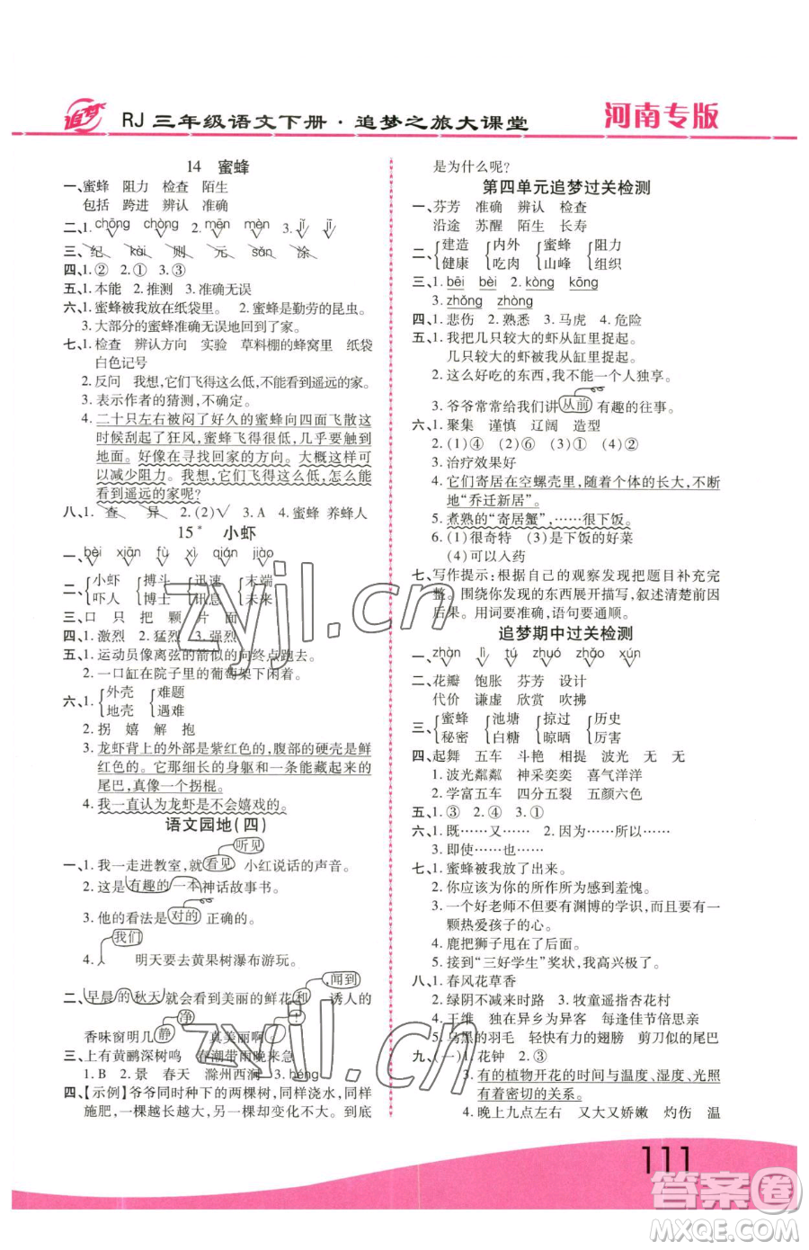 天津科學技術(shù)出版社2023追夢之旅大課堂三年級下冊語文人教版河南專版參考答案