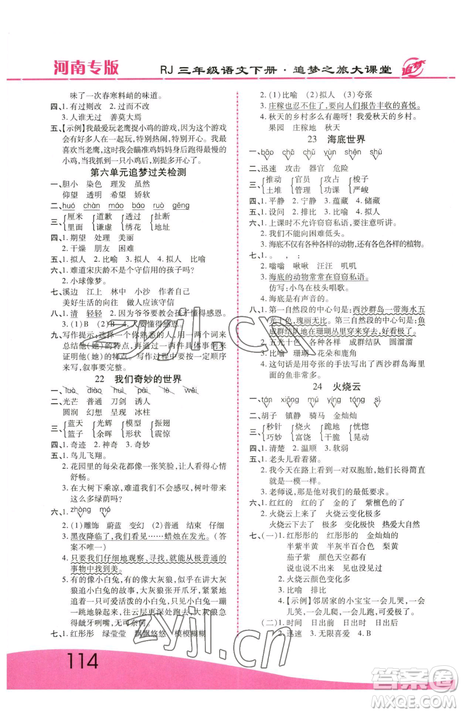 天津科學技術(shù)出版社2023追夢之旅大課堂三年級下冊語文人教版河南專版參考答案