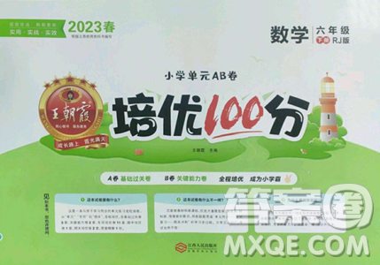 江西人民出版社2023王朝霞培優(yōu)100分六年級(jí)下冊(cè)數(shù)學(xué)人教版參考答案