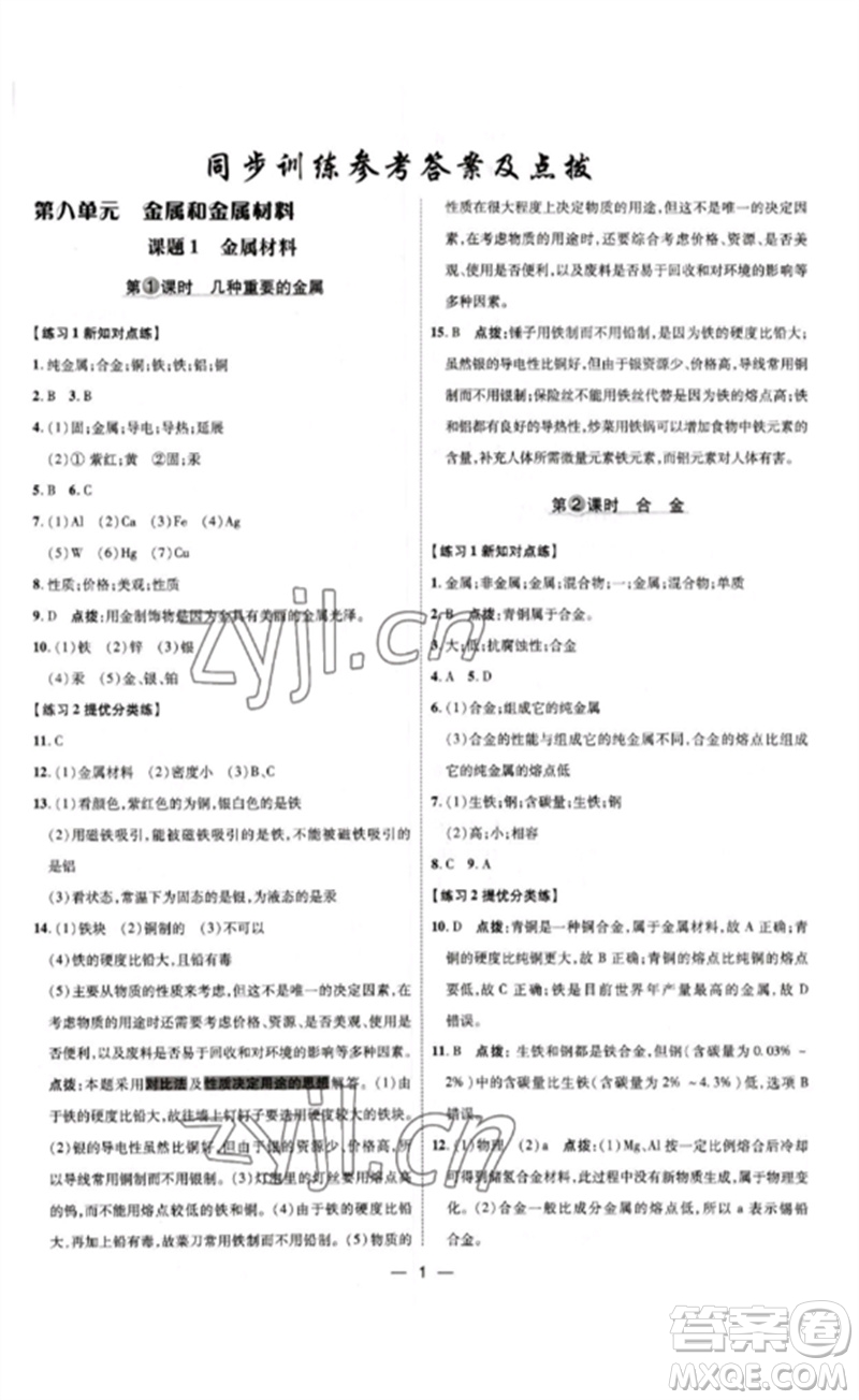 吉林教育出版社2023點撥訓練九年級化學下冊人教版參考答案