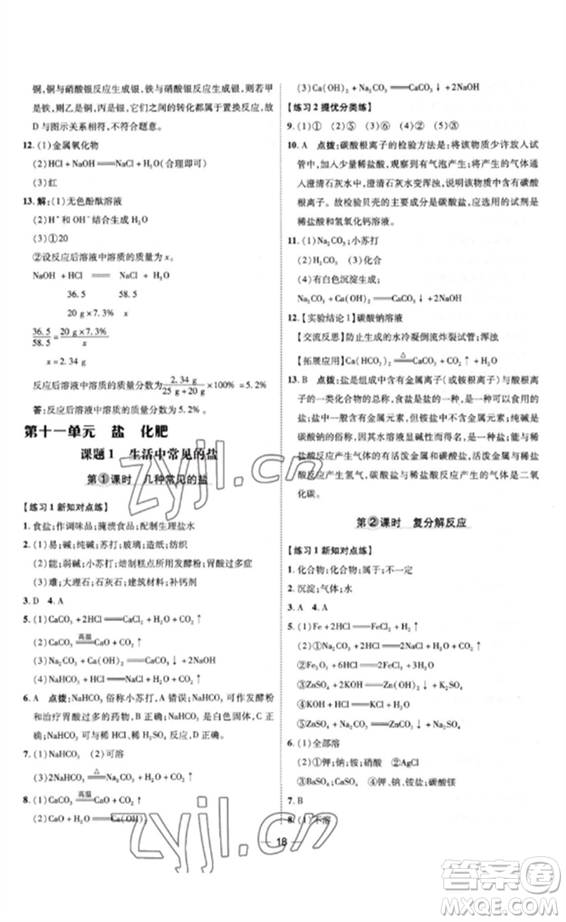 吉林教育出版社2023點撥訓練九年級化學下冊人教版參考答案