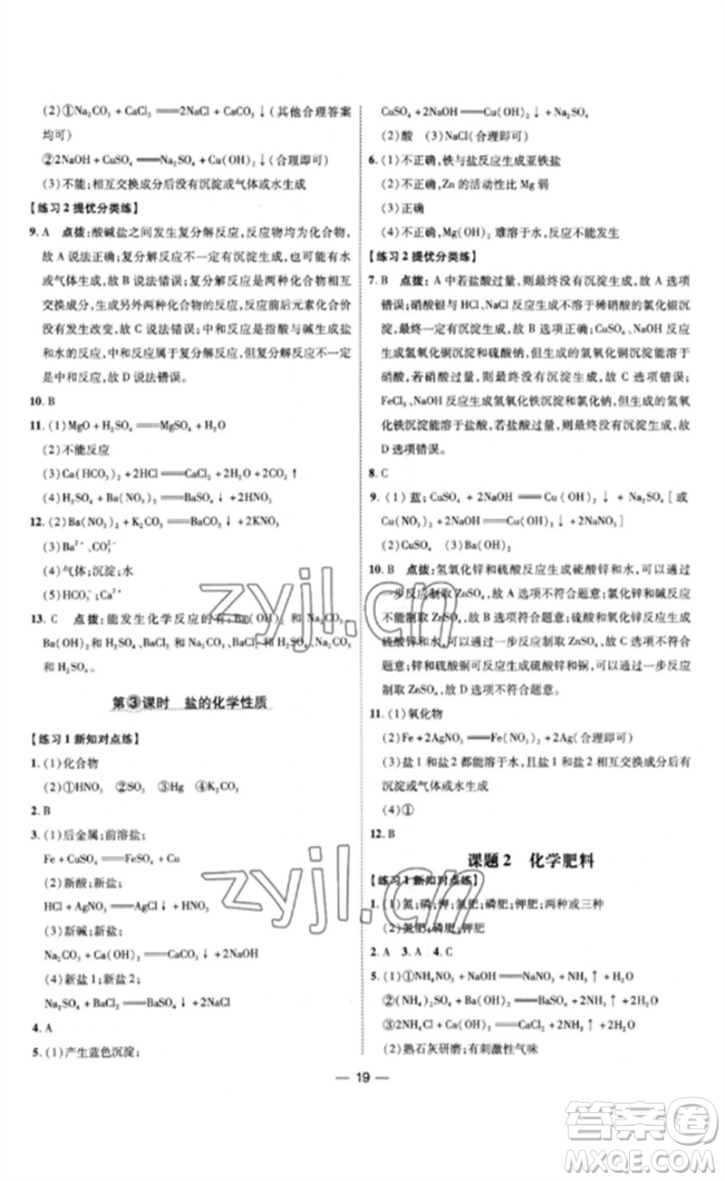 吉林教育出版社2023點撥訓練九年級化學下冊人教版參考答案