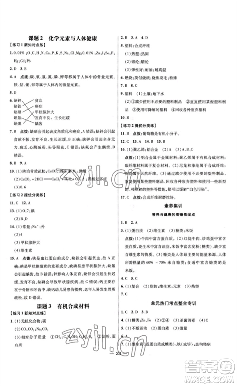 吉林教育出版社2023點撥訓練九年級化學下冊人教版參考答案