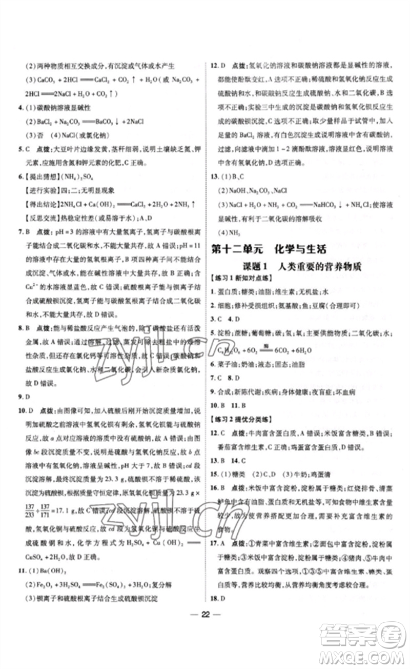 吉林教育出版社2023點撥訓練九年級化學下冊人教版參考答案