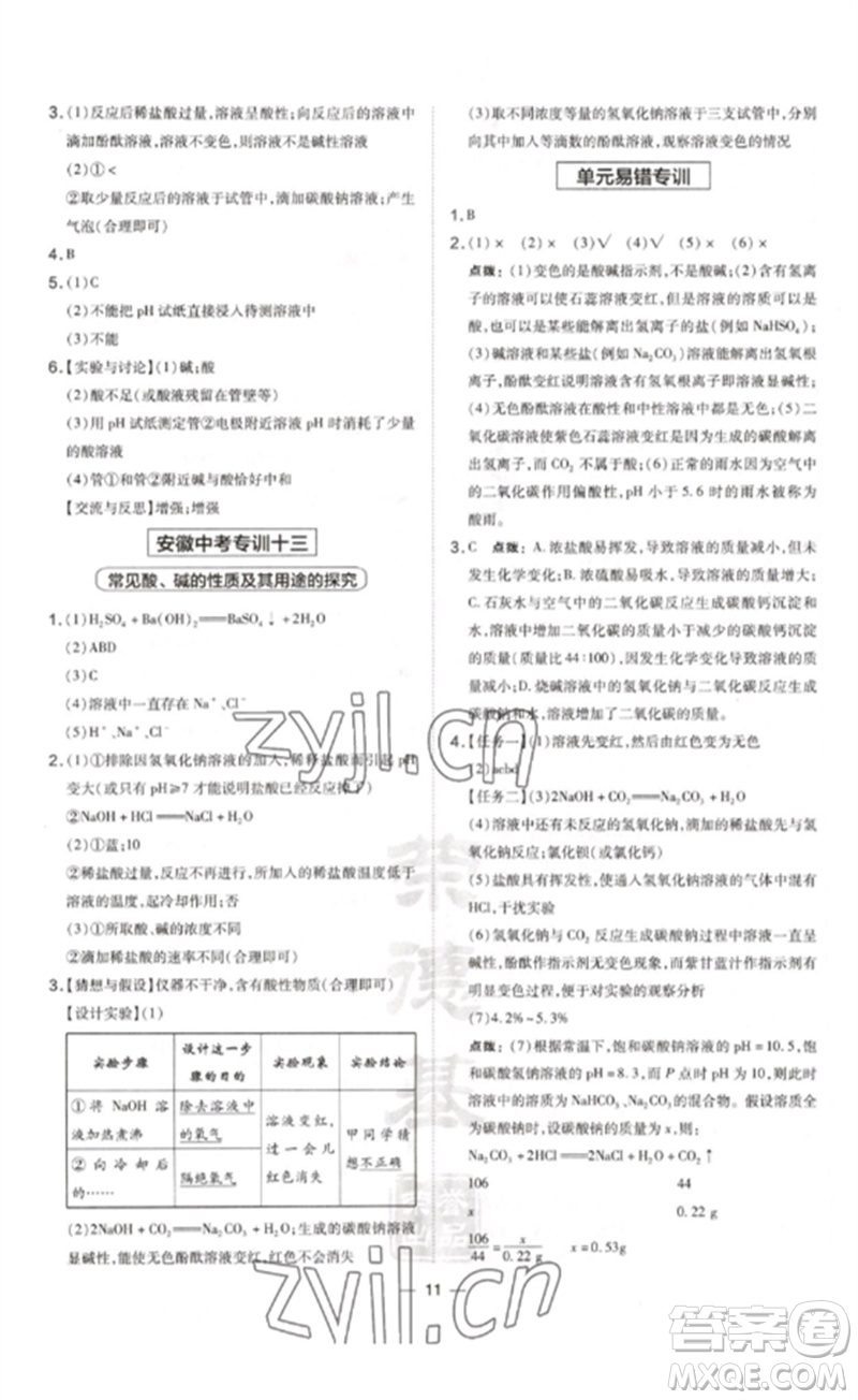 安徽教育出版社2023點撥訓(xùn)練九年級化學(xué)下冊人教版安徽專版參考答案