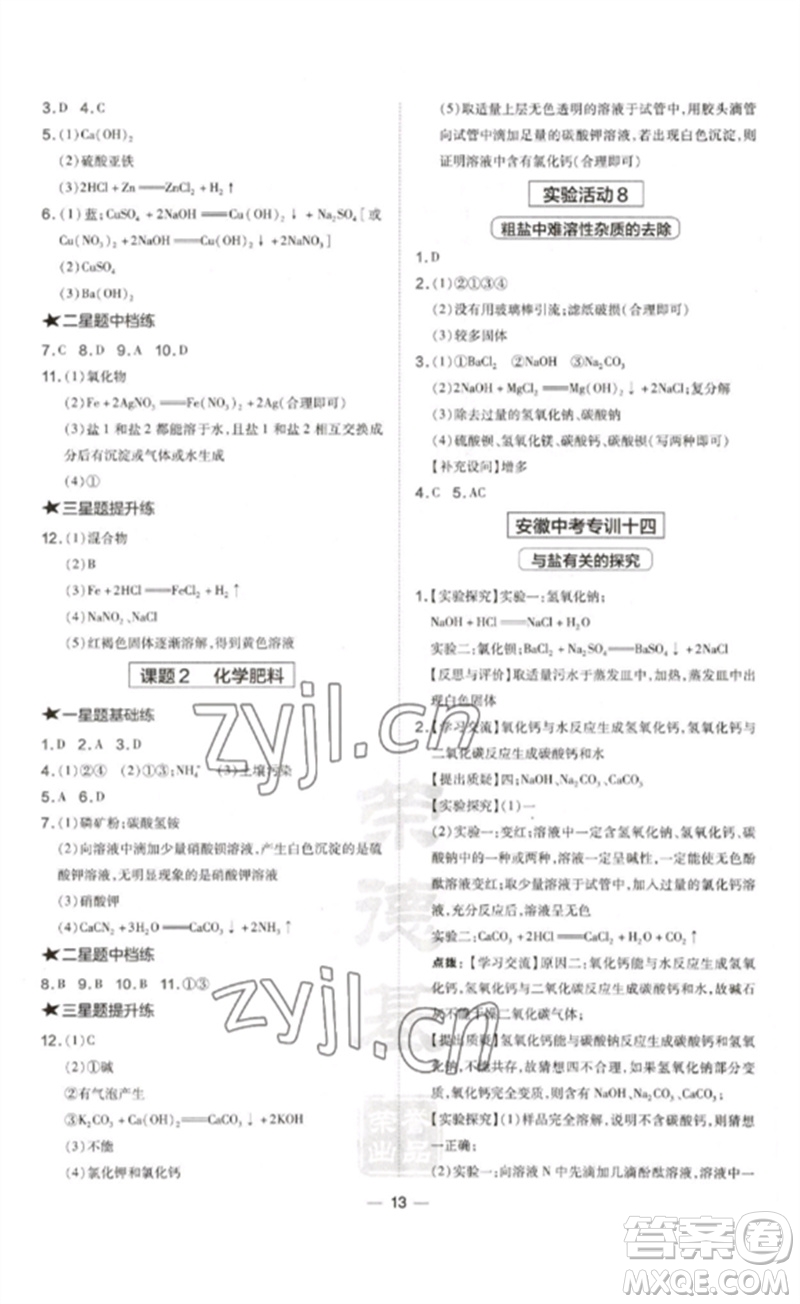 安徽教育出版社2023點撥訓(xùn)練九年級化學(xué)下冊人教版安徽專版參考答案