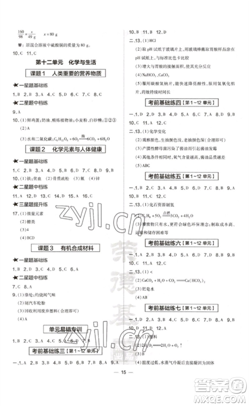 安徽教育出版社2023點撥訓(xùn)練九年級化學(xué)下冊人教版安徽專版參考答案