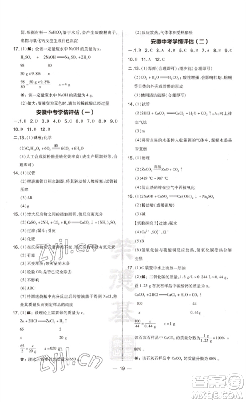 安徽教育出版社2023點撥訓(xùn)練九年級化學(xué)下冊人教版安徽專版參考答案